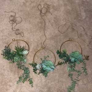 Hanging plants